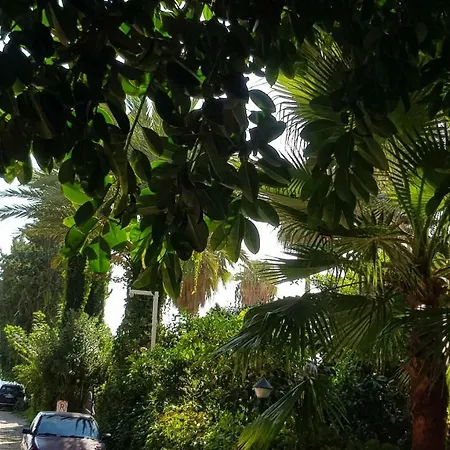 Askim Apart Alanya
